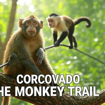 מלון Drakes Bay Corcovado The Monkey Trail מראה חיצוני תמונה